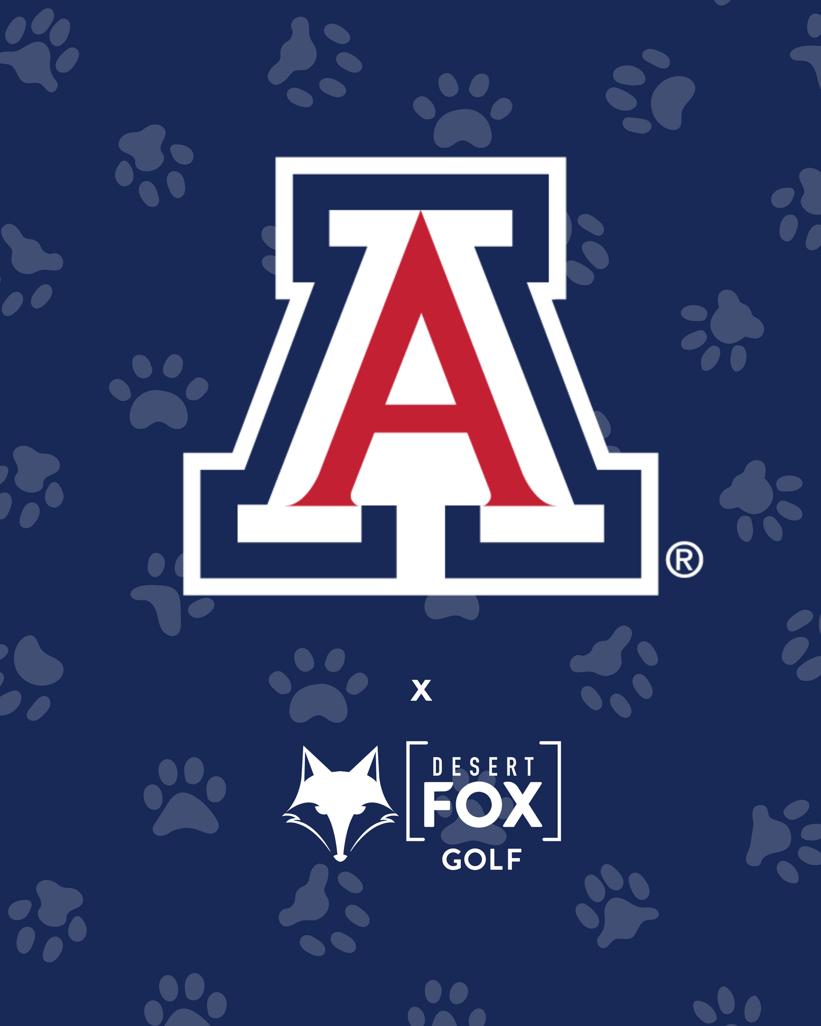 University of Arizona hero image