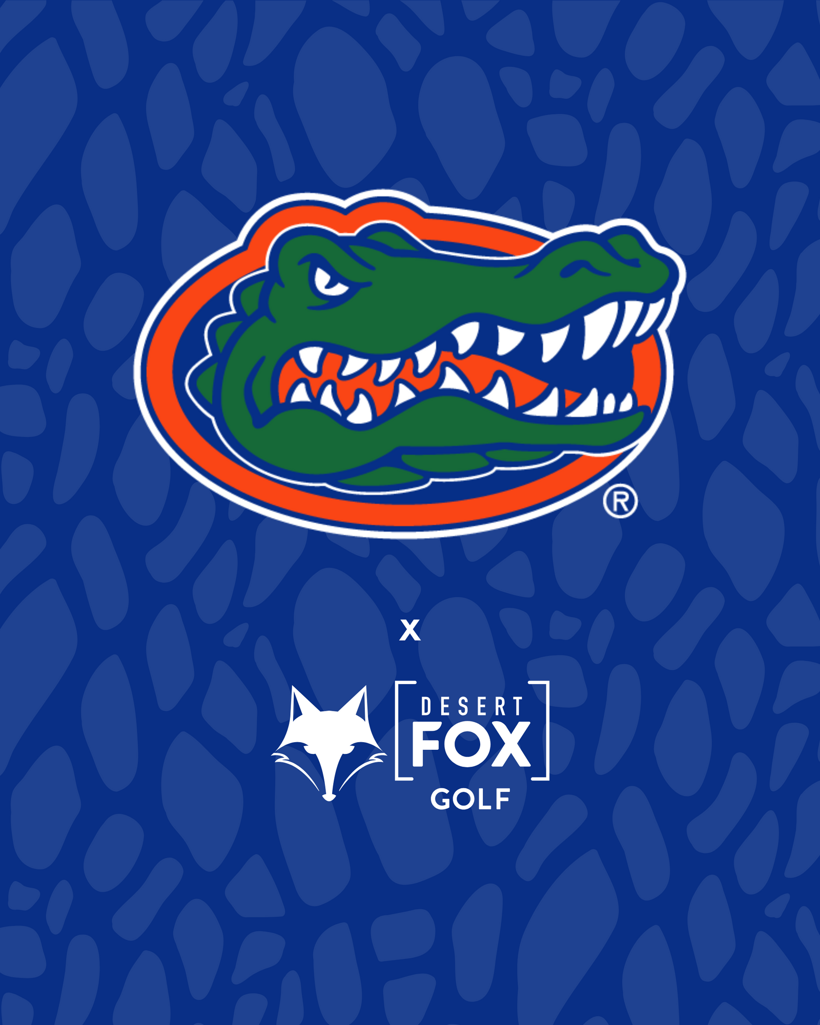 University of Florida hero image