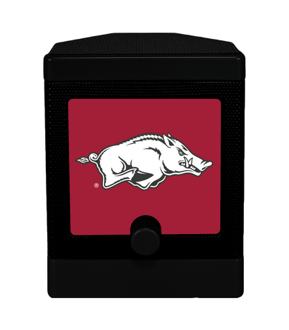 Arkansas DJ-10 Midnight Edition Wireless Speaker