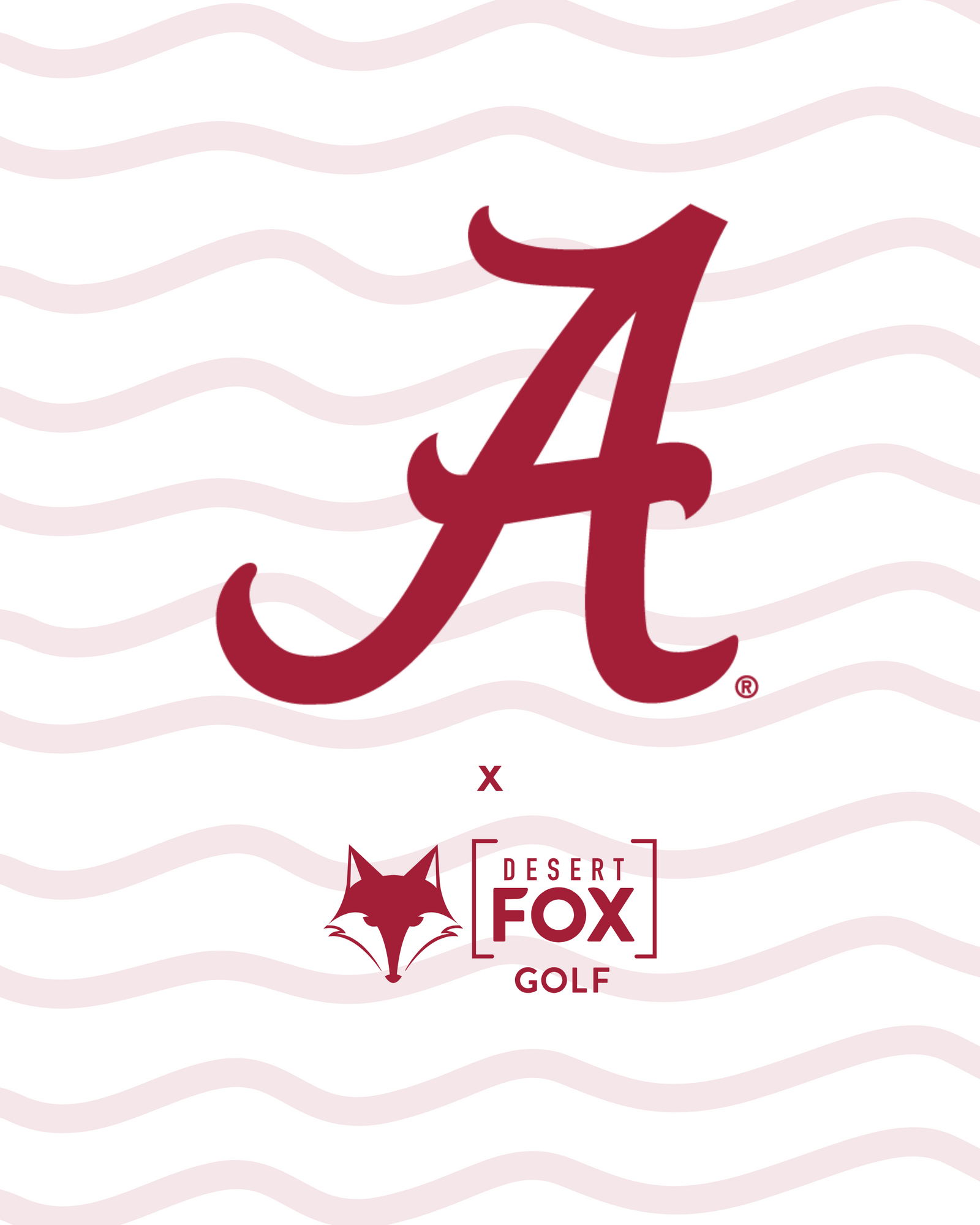 University of Alabama hero image