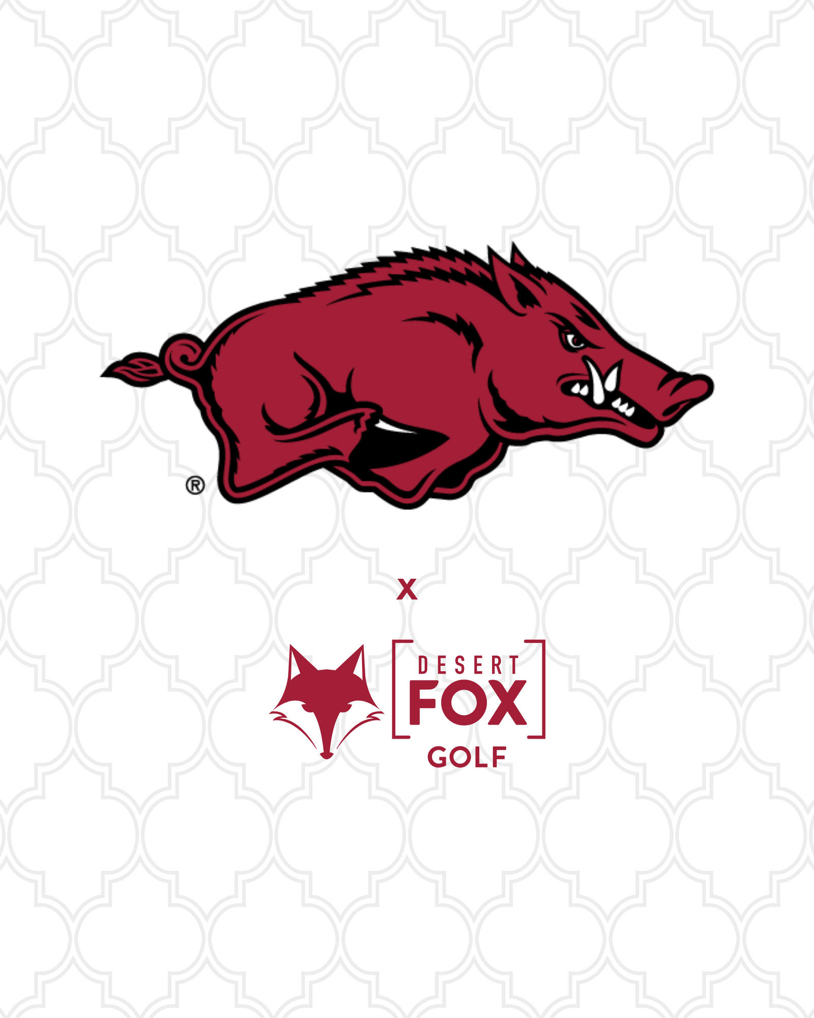 University of Arkansas hero image