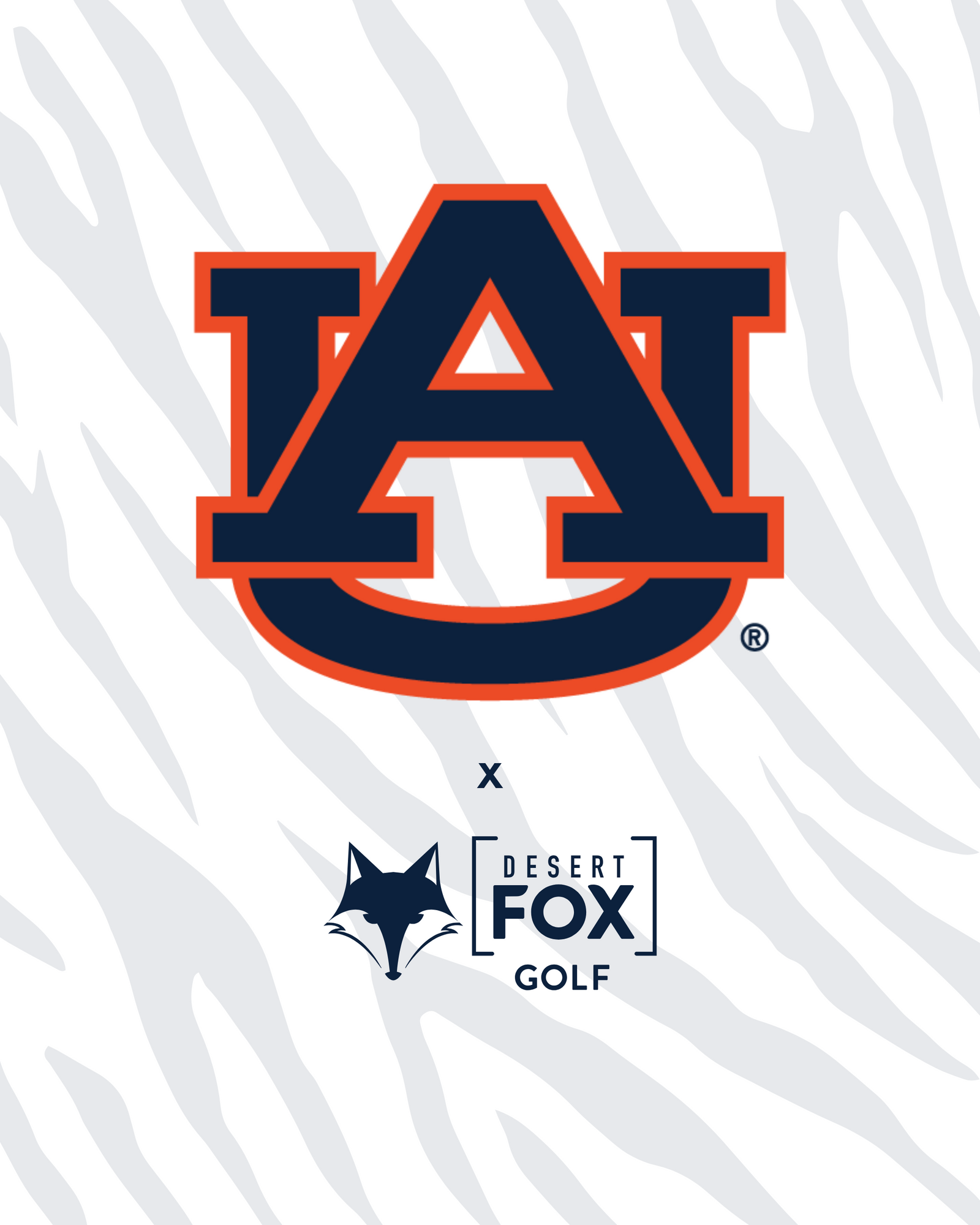 Auburn University hero image