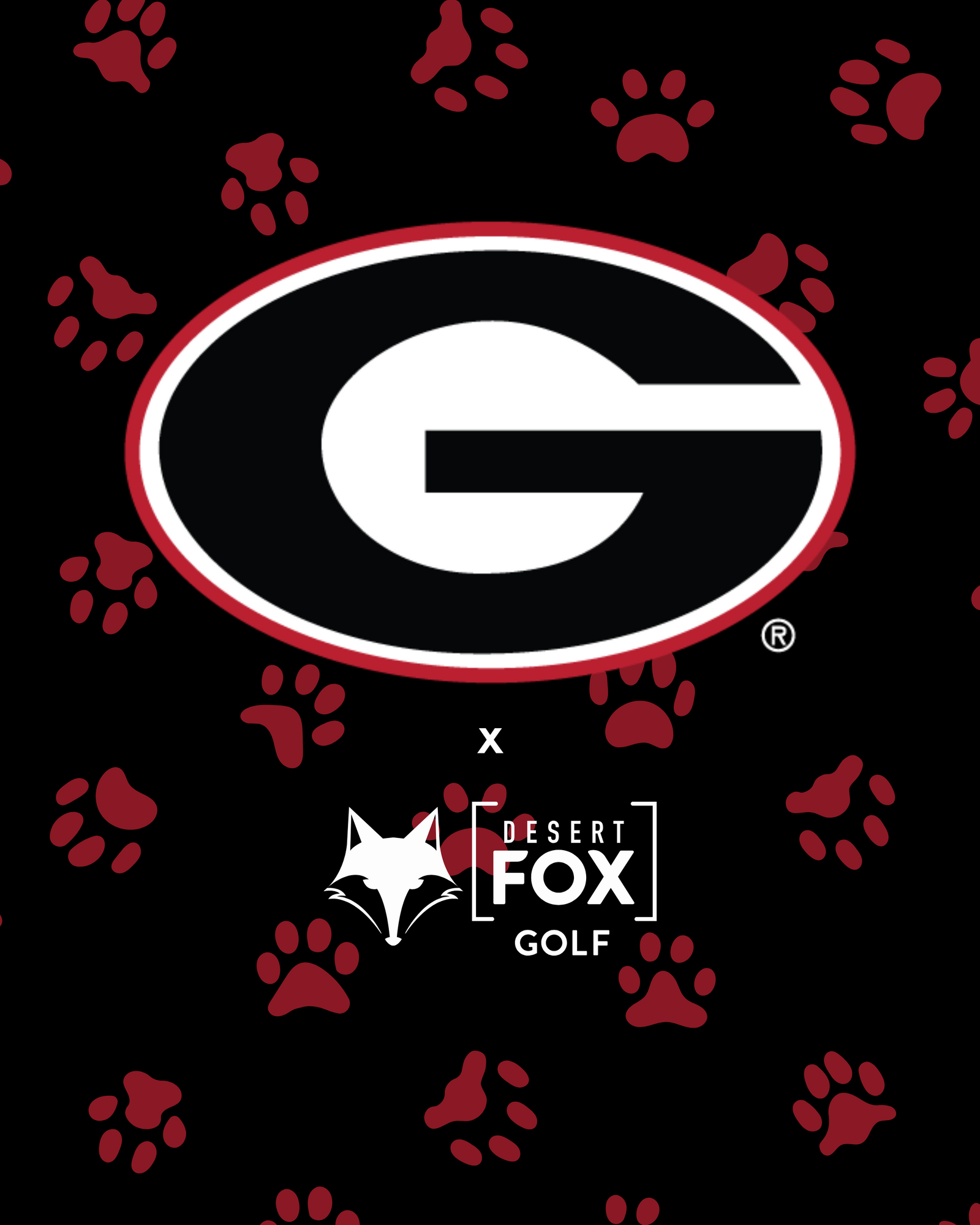 University of Georgia hero image