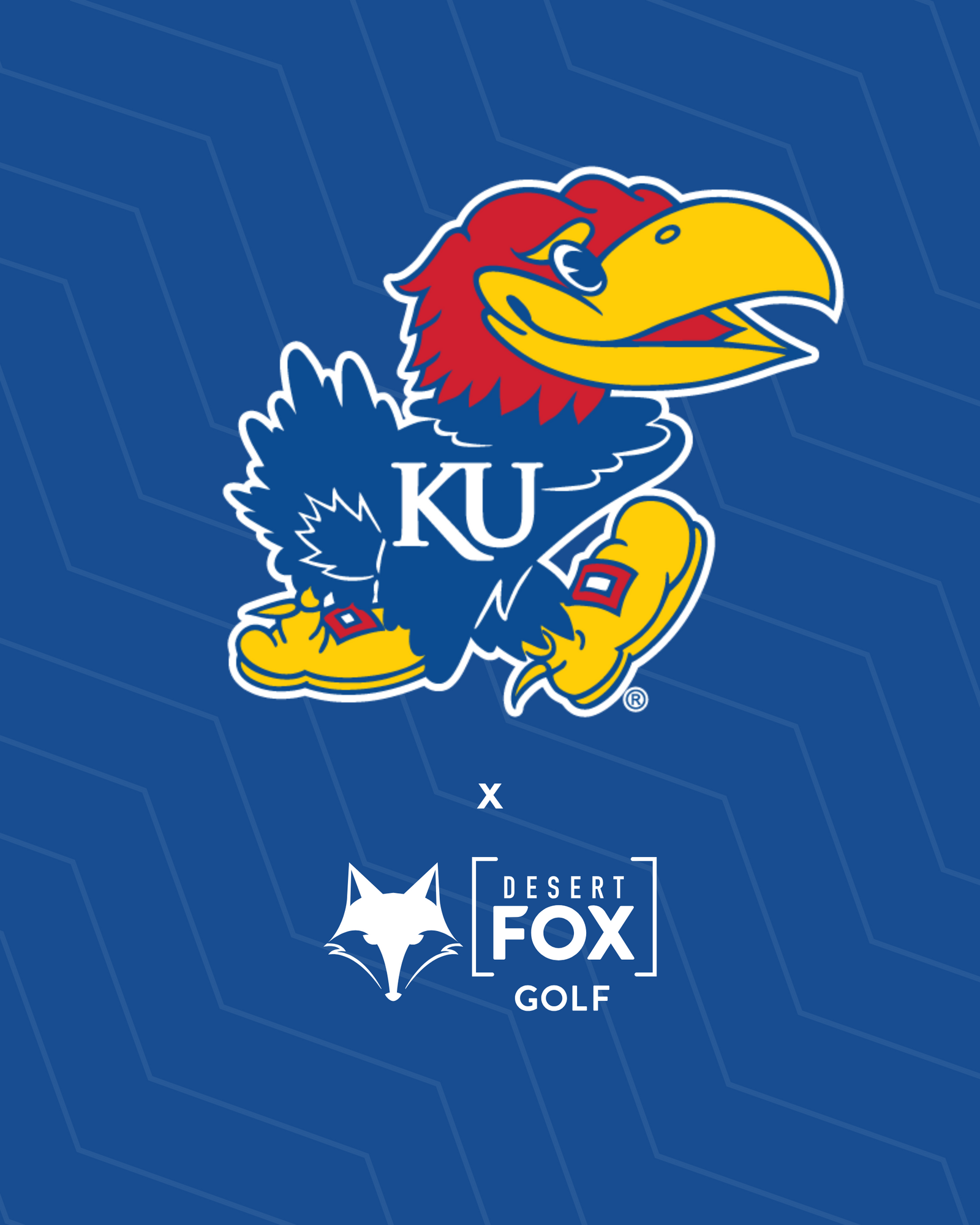 University of Kansas hero image