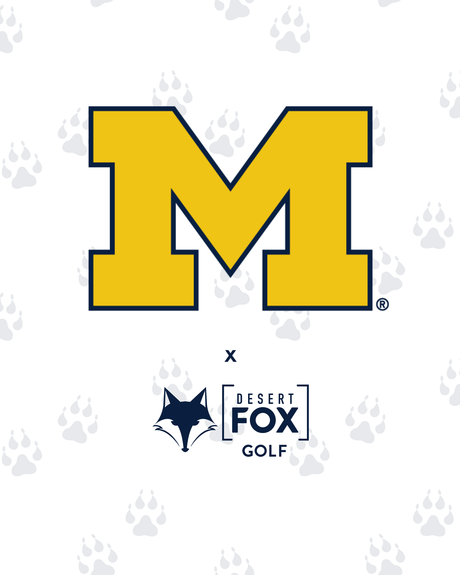 University of Michigan hero image