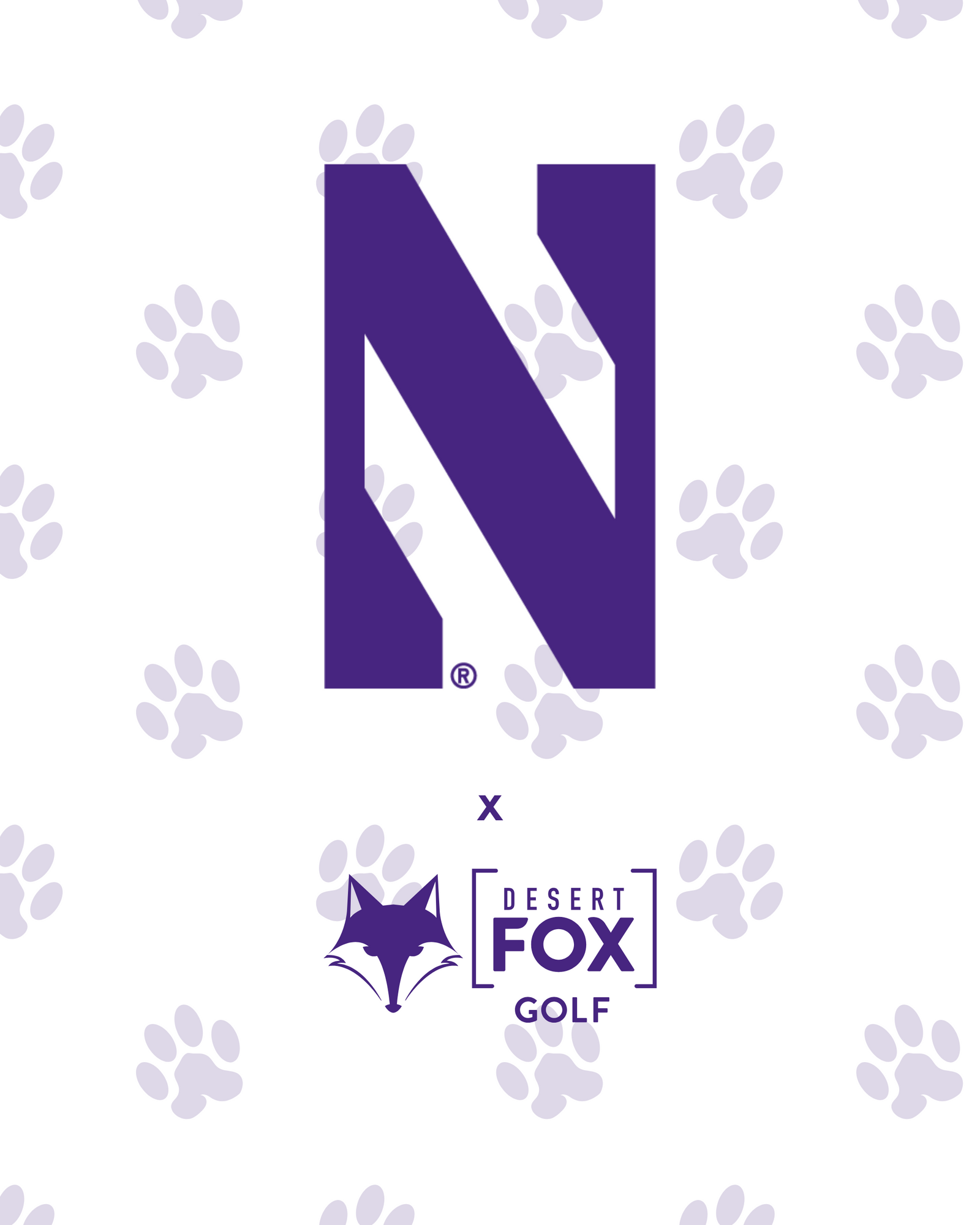 Northwestern University hero image