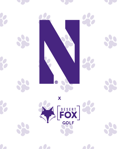 NCAA - Northwestern