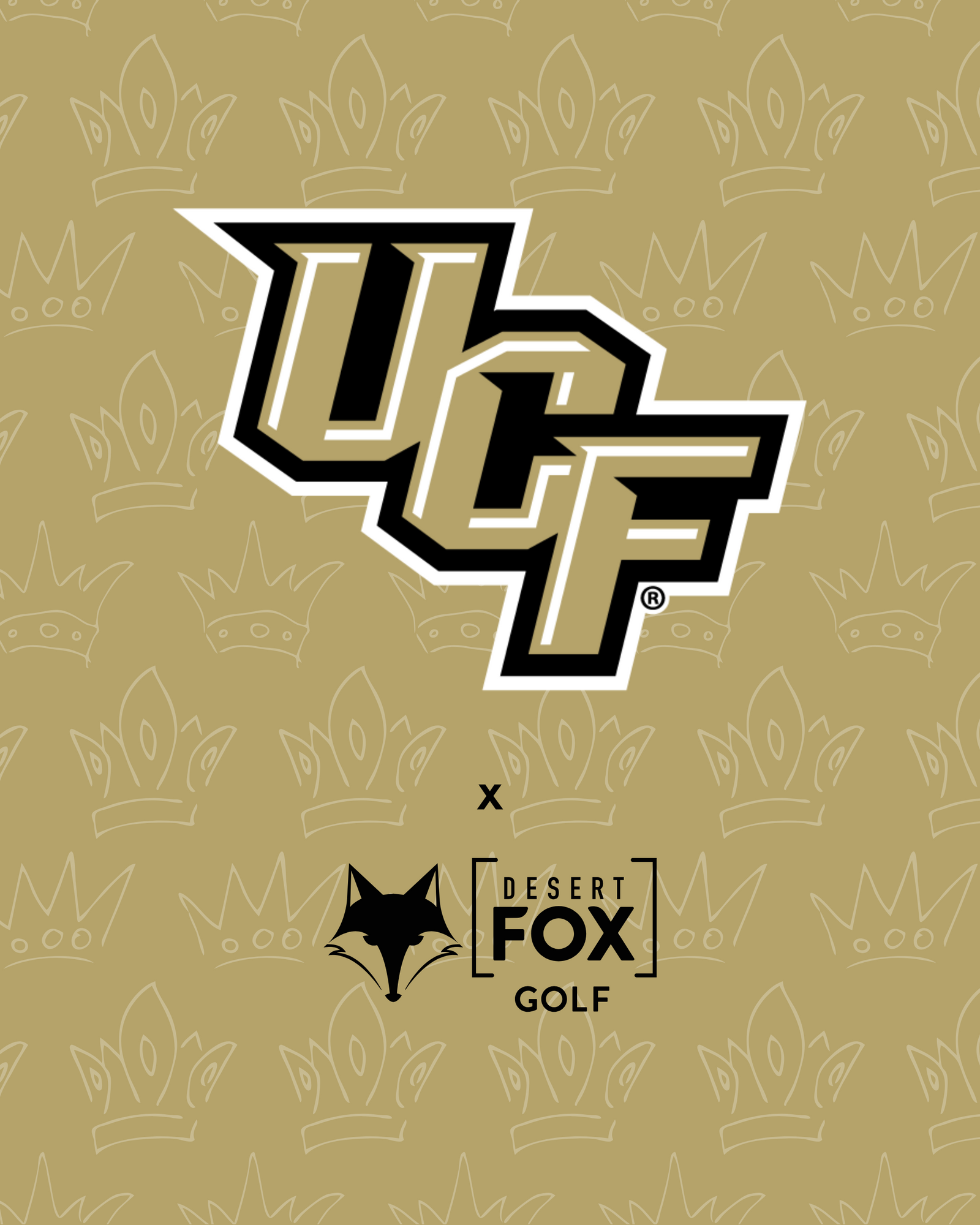 University of Central Florida hero image
